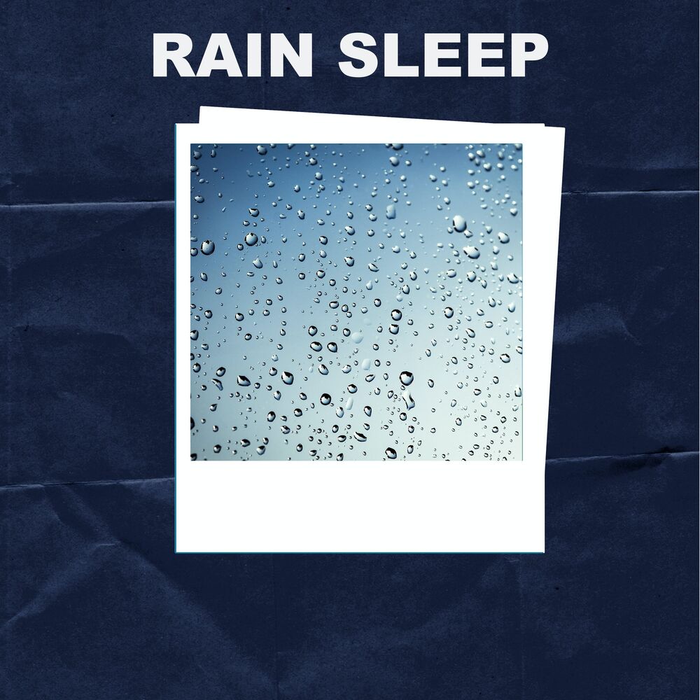 Picture of Calming Rainforest Sounds