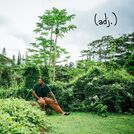 Ark Woods