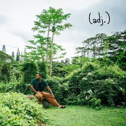 Picture of Ark Woods