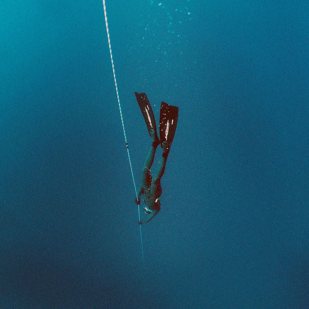 Picture of Paradoxa