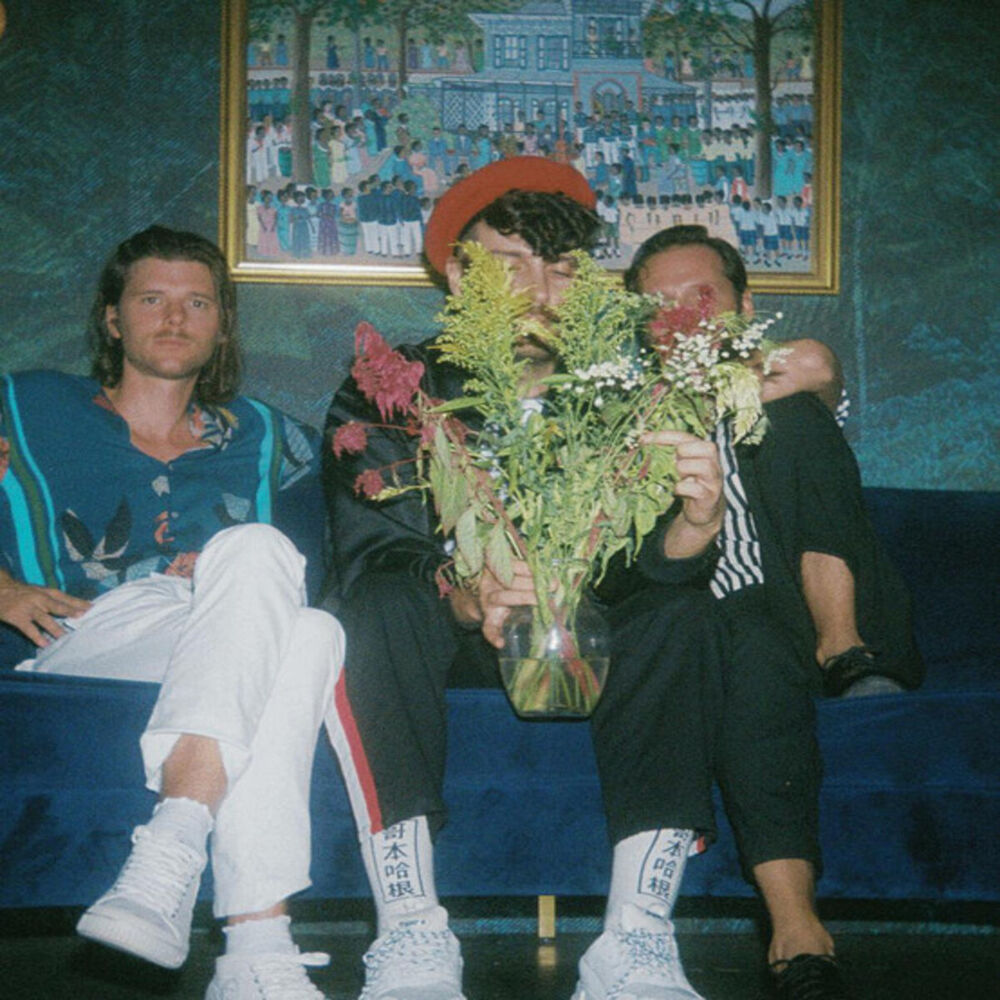 Picture of Miami Horror