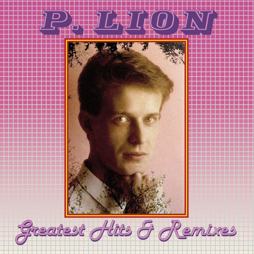 Picture of P. Lion