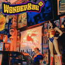 WonderBag