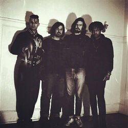 Picture of Majesty Crush