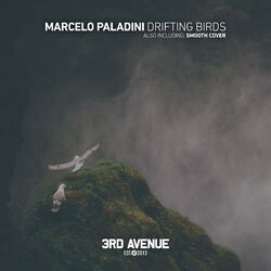 Picture of Marcelo Paladini