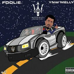 Picture of Foolie