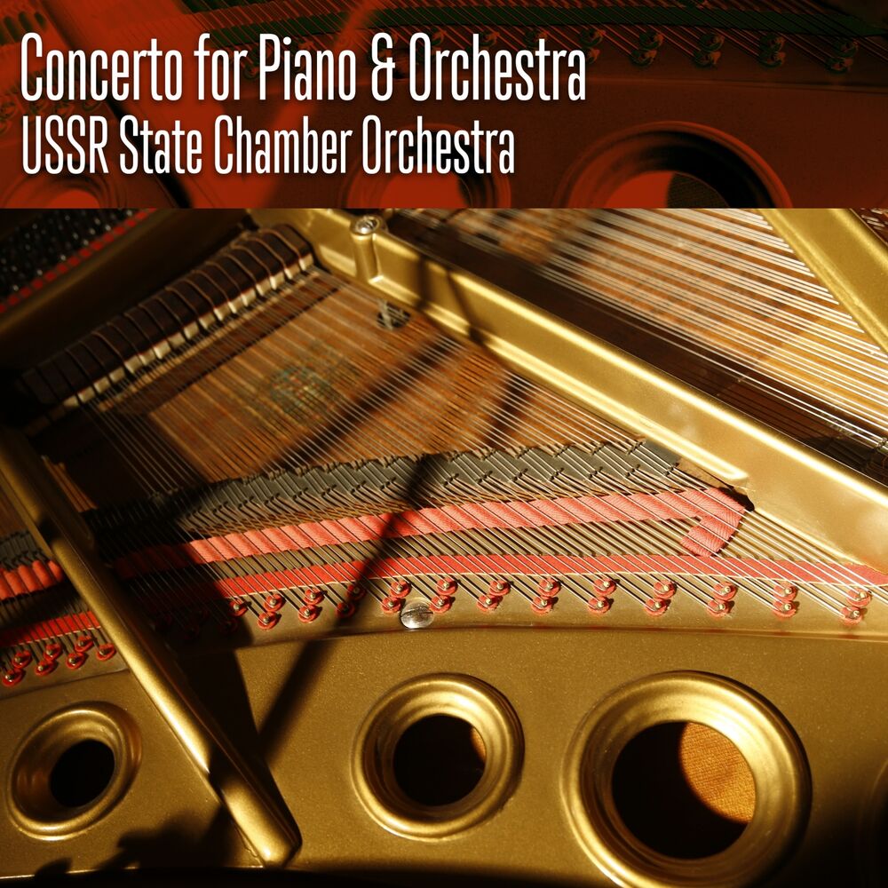 Picture of USSR State Chamber Orchestra