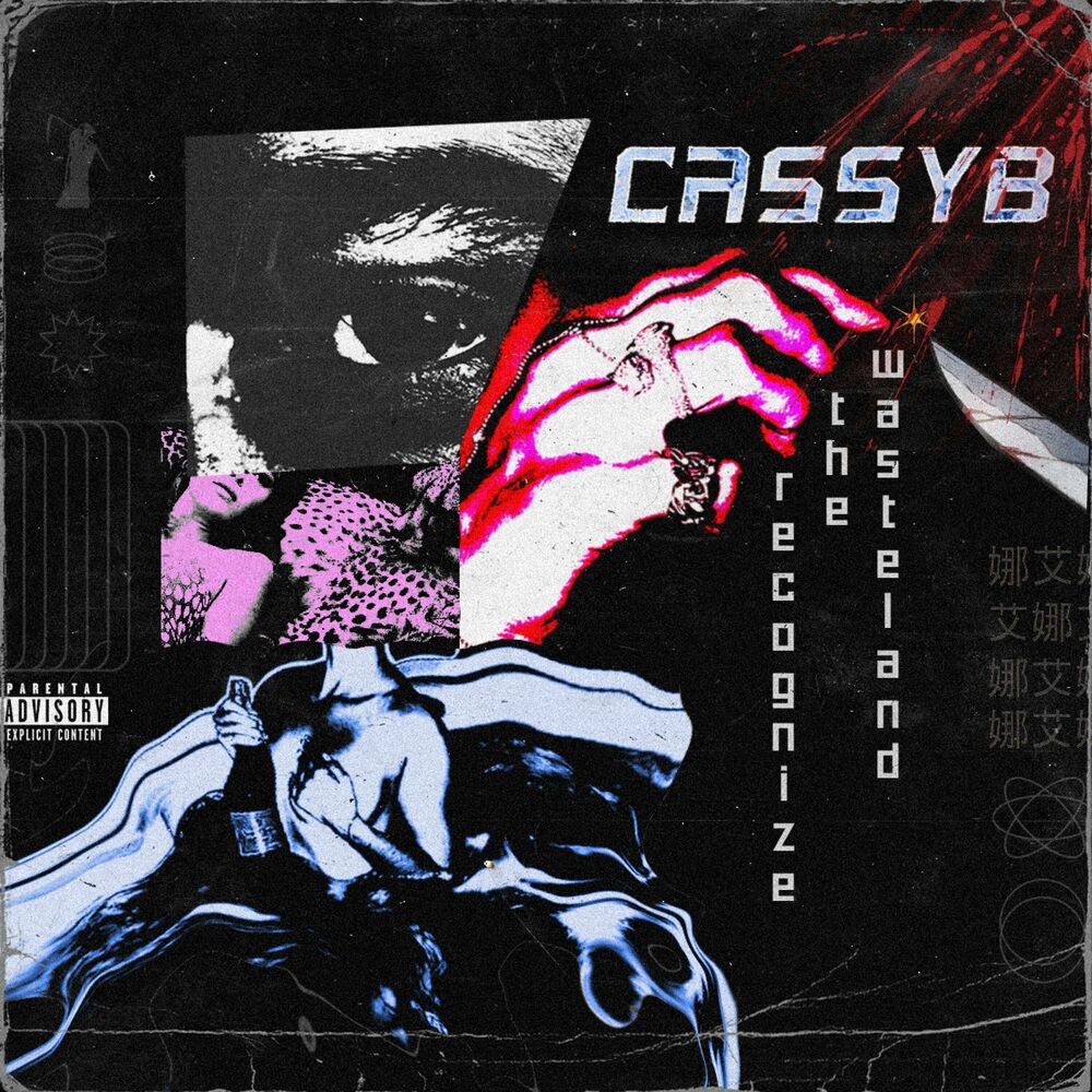 Picture of CASSYB