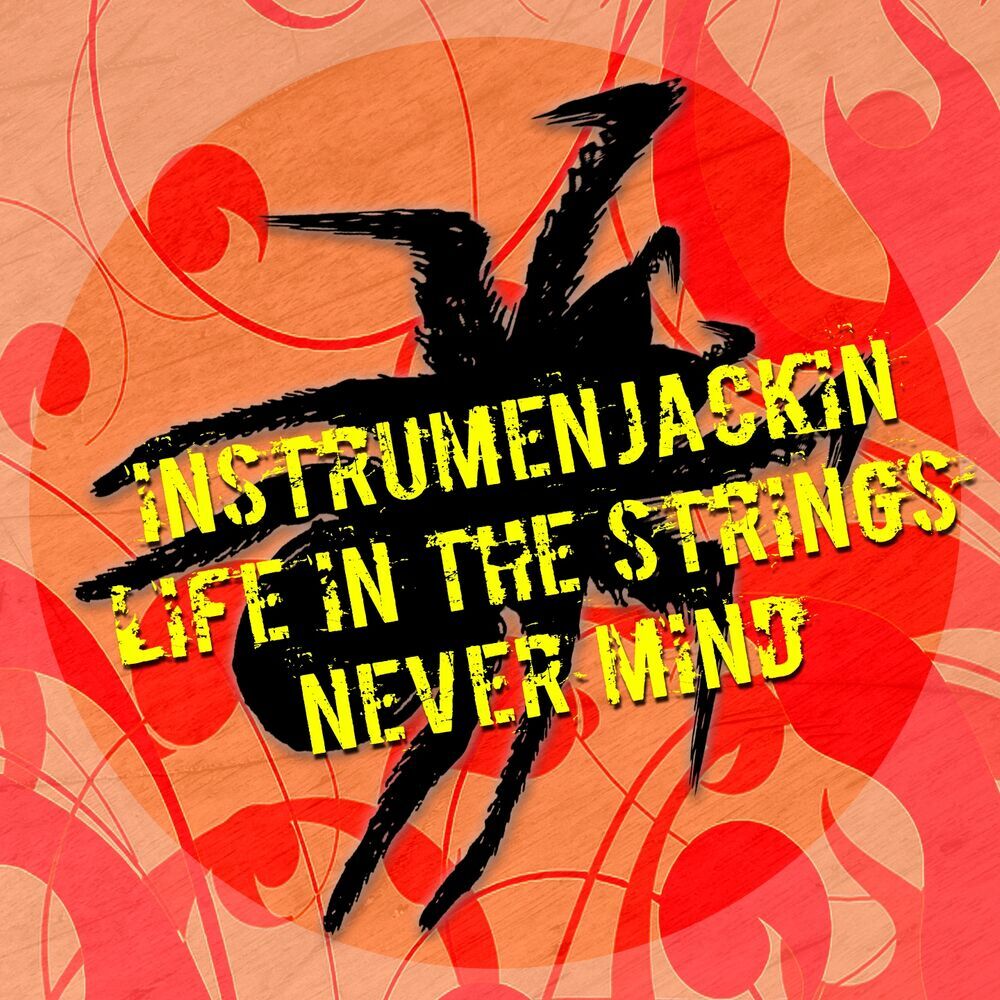Picture of Instrumenjackin