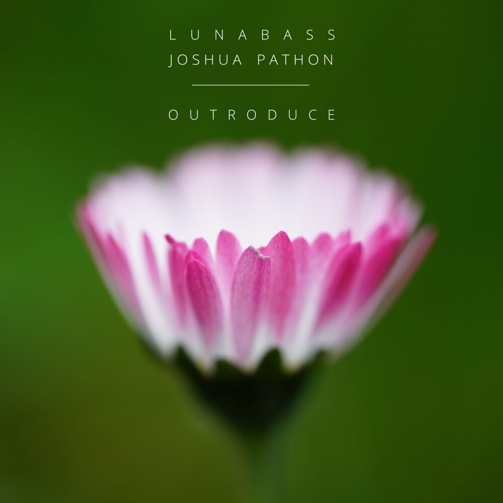 Picture of Lunabass