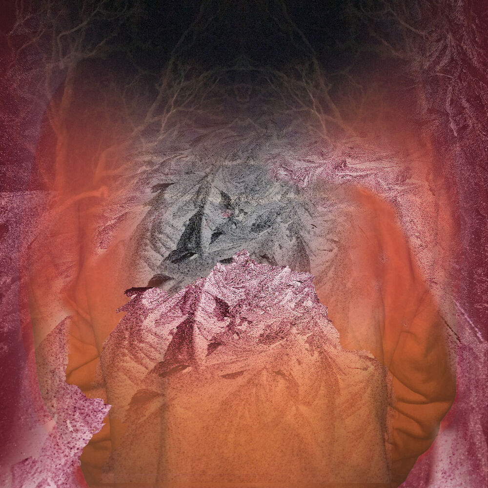 Picture of YOUNG MONK