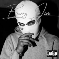 Picture of Berry Jive