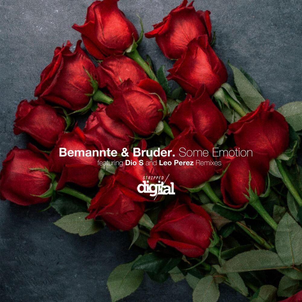 Picture of Bemannte & Brüder