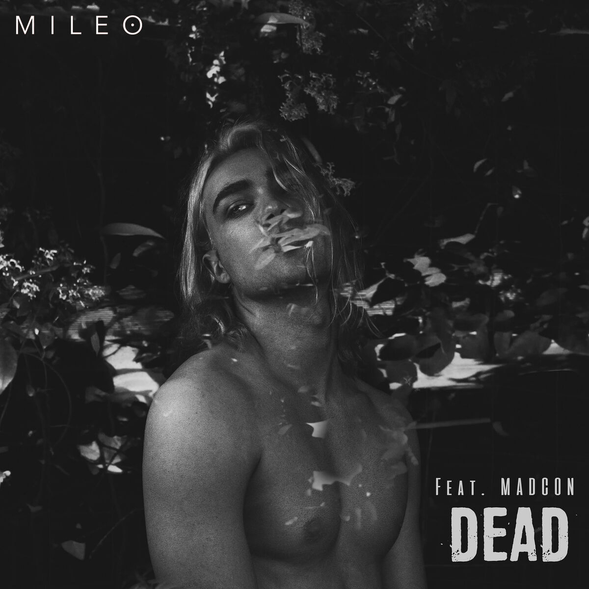 Mileo