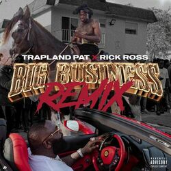 Picture of Trapland Pat