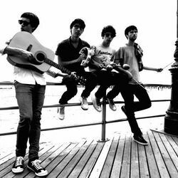 Picture of The Morning Benders