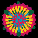 Brazakuja