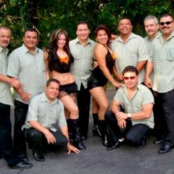 Picture of Banda Blanca