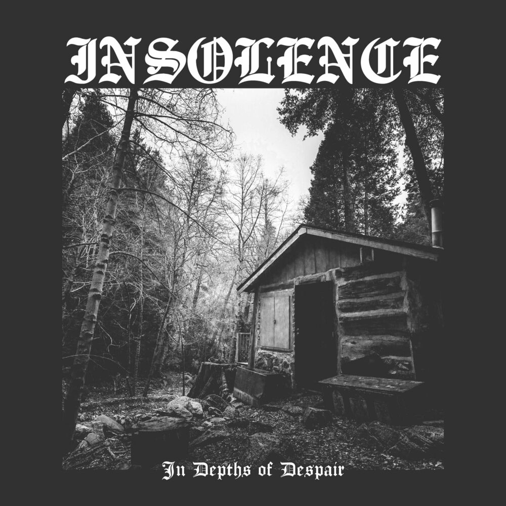 Picture of Insolence
