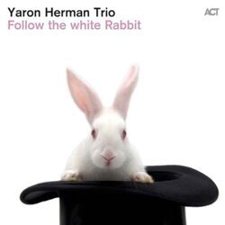 Picture of Yaron Herman Trio