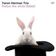 Yaron Herman Trio