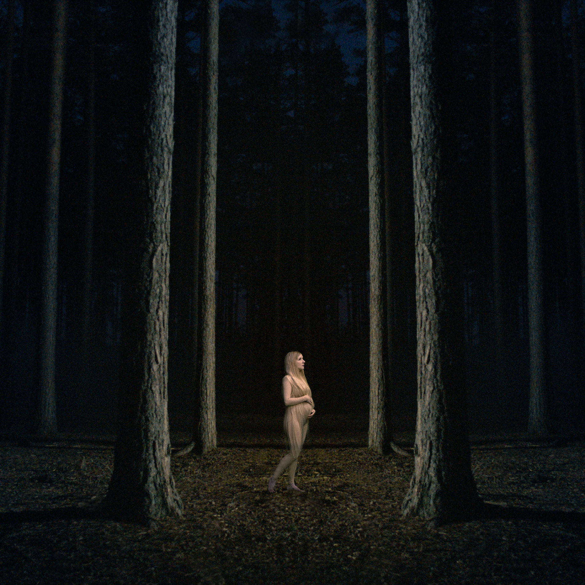 Artist picture of iamamiwhoami