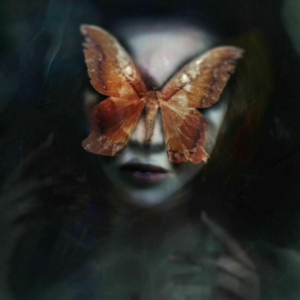 Picture of Synthetic Epiphany