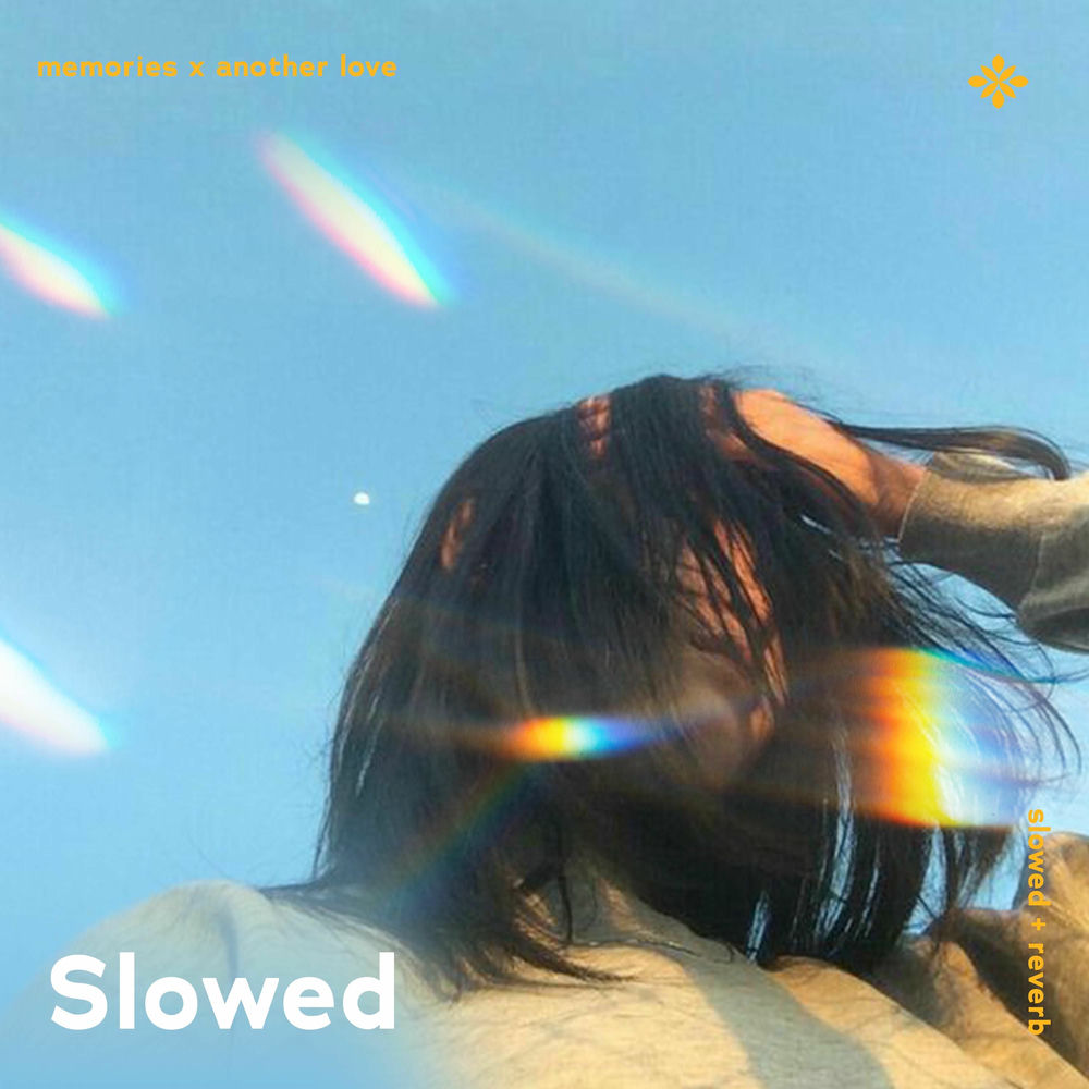 Photo de l'artiste Twilight