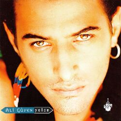 Picture of Ali Guven