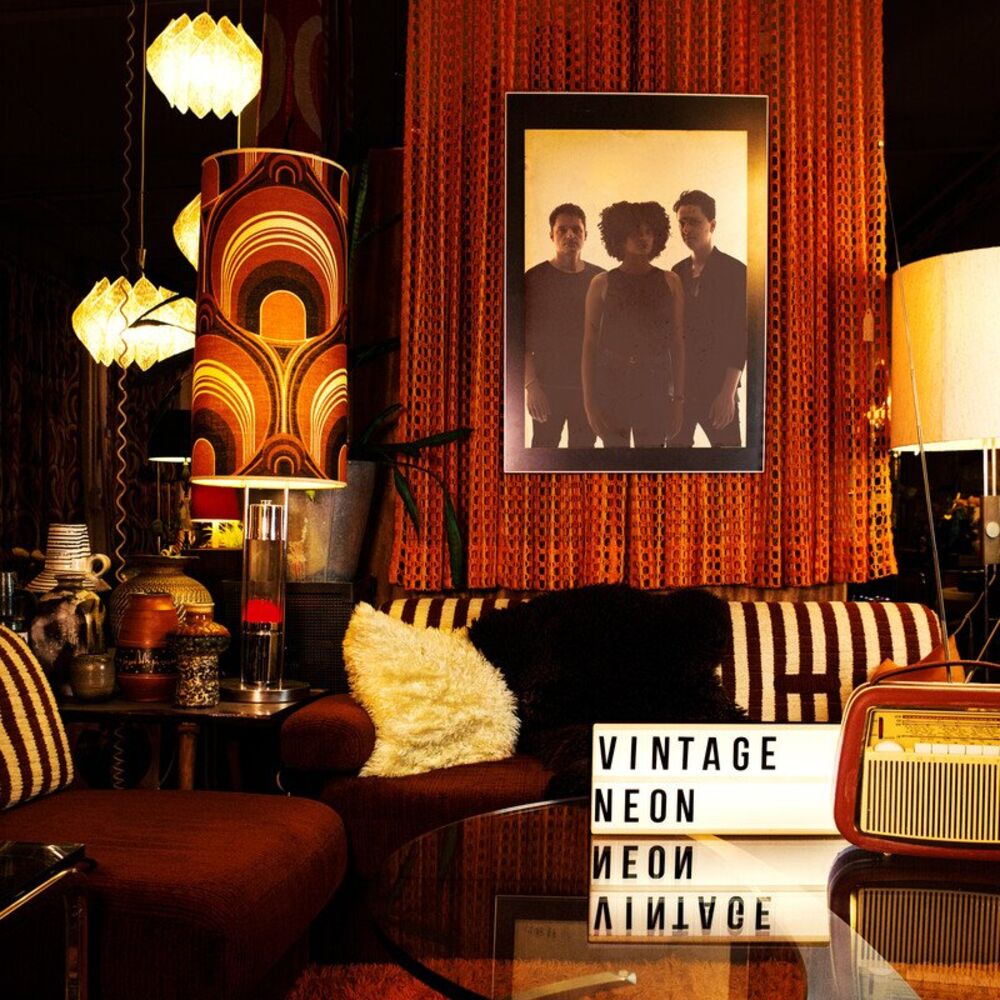 Picture of Vintage Neon