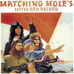 Picture of Matching Mole