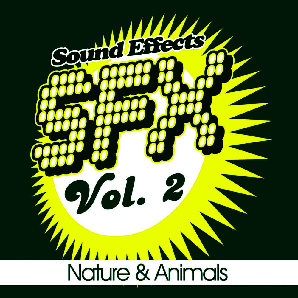 Picture of Sound EFX