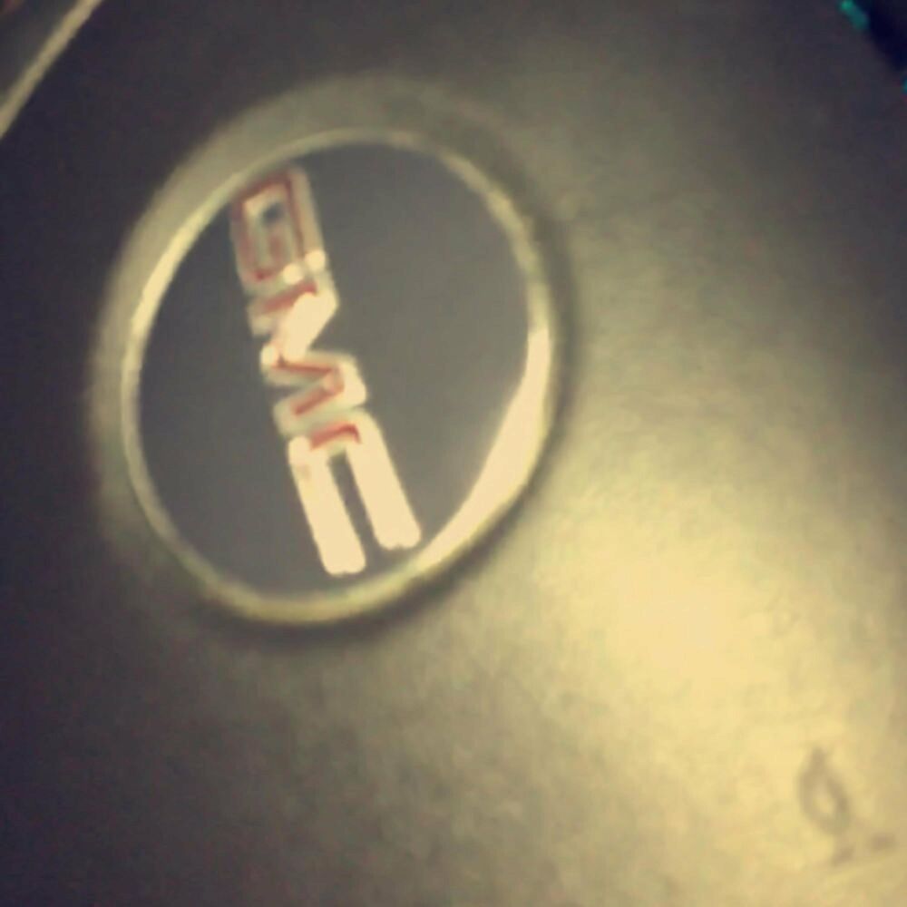 Picture of Tiny T