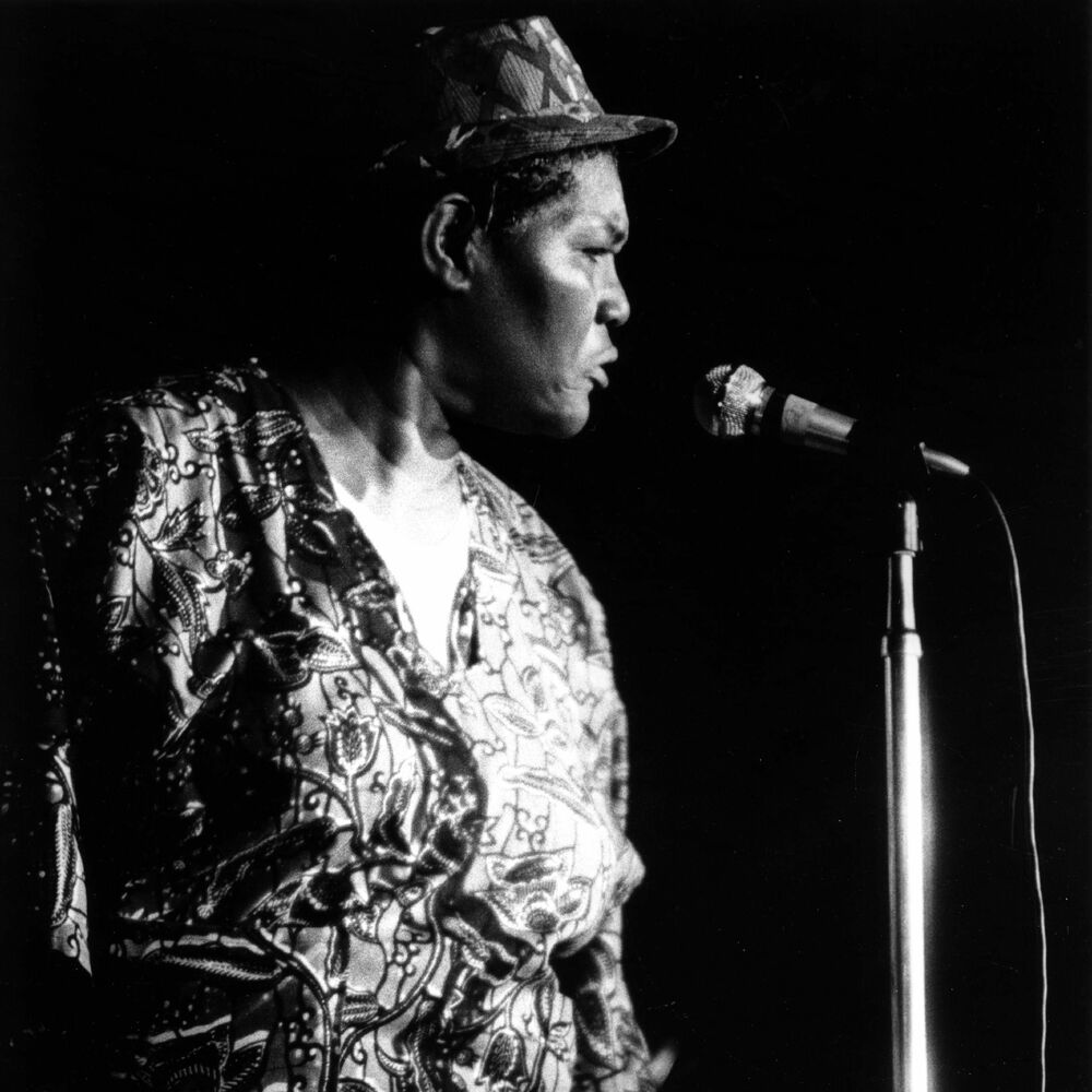 Picture of Big Mama Thornton