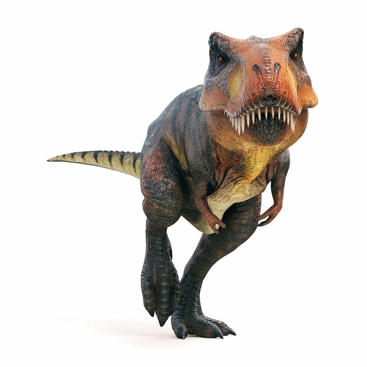 Artist picture of RocamaFrix