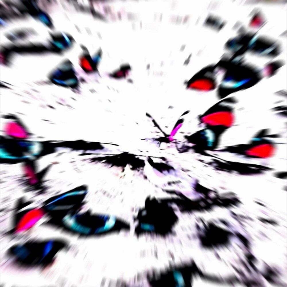 Picture of SƏDD
