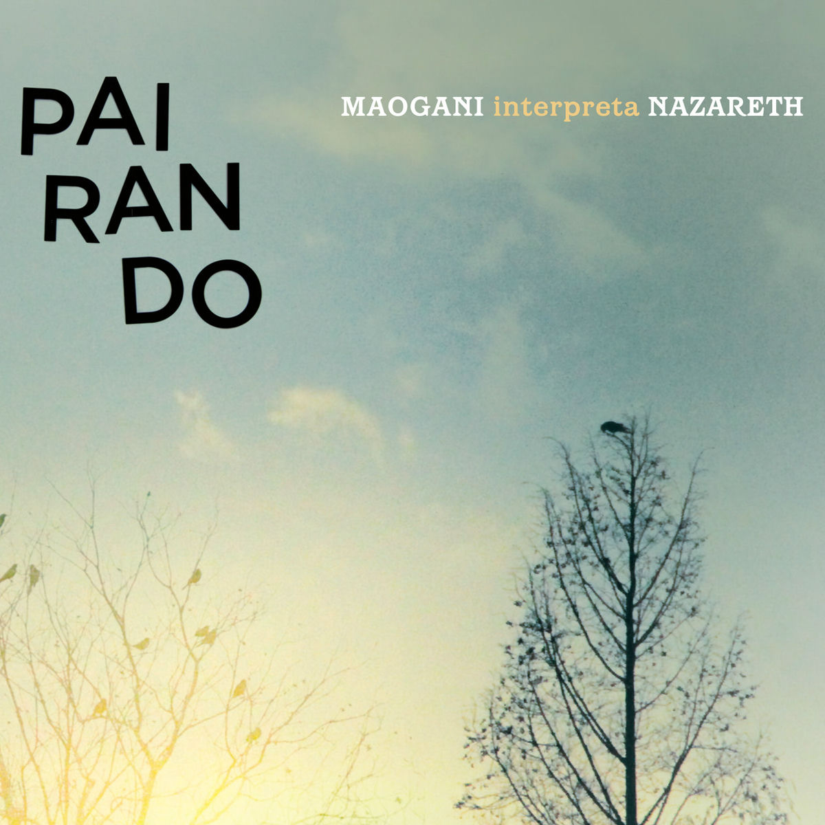 Quarteto Maogani