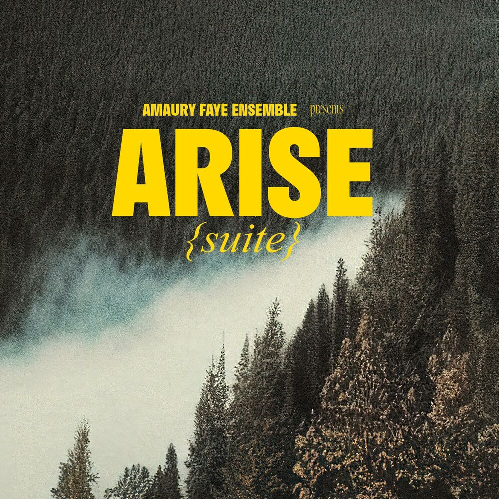 Picture of Amaury Faye