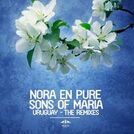 Sons Of Maria