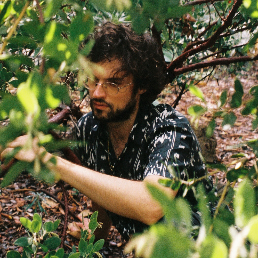 Picture of Young Jesus