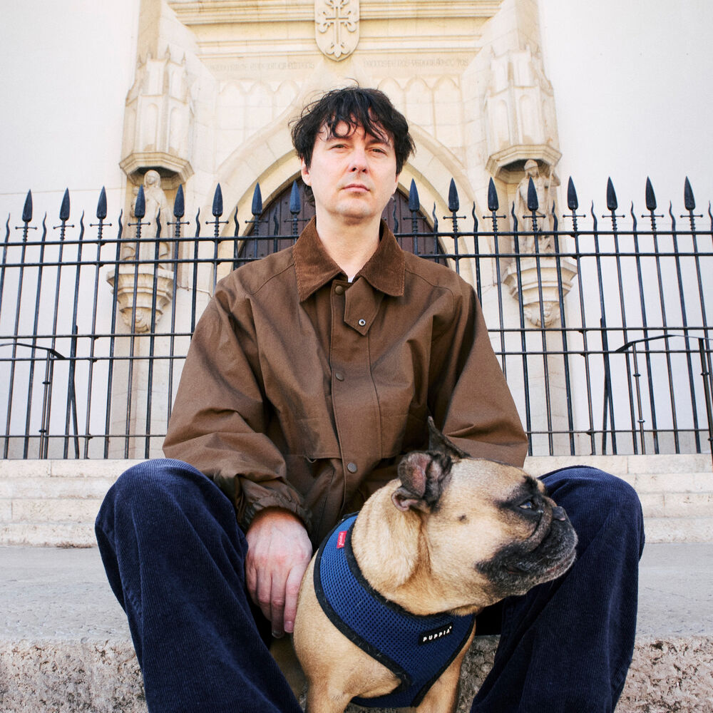Picture of Panda Bear