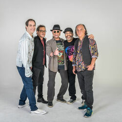Picture of The Fevers