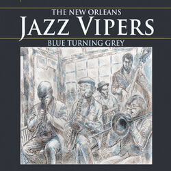 Picture of The New Orleans Jazz Vipers