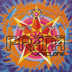 Picture of Prana