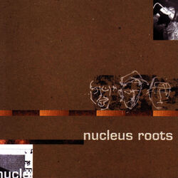 Picture of Nucleus Roots