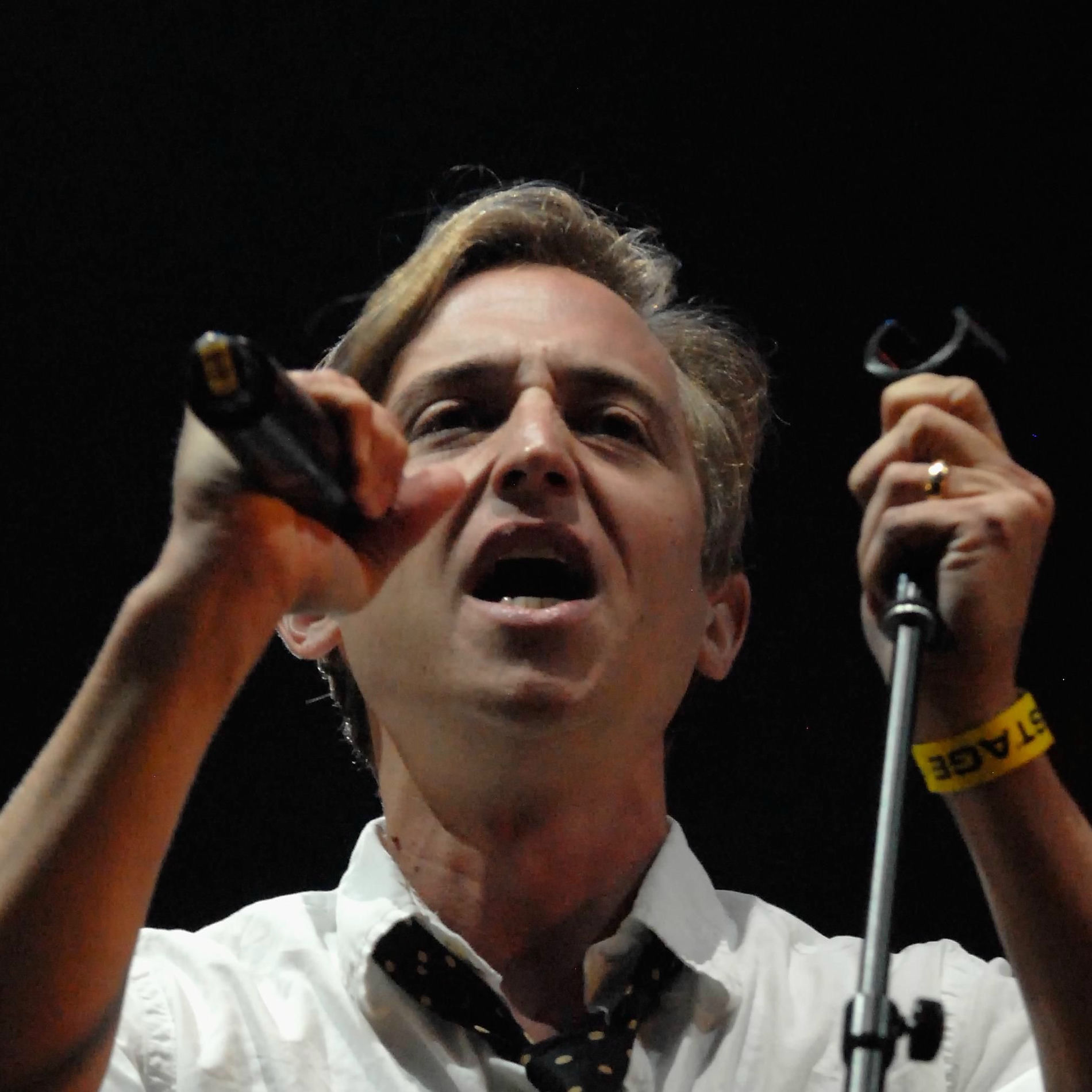 Artist picture of The Gregory Brothers