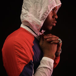 Picture of Lud Foe