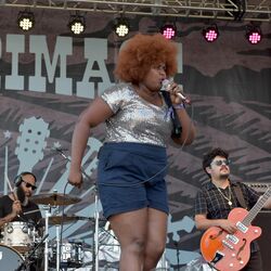 Picture of The Suffers