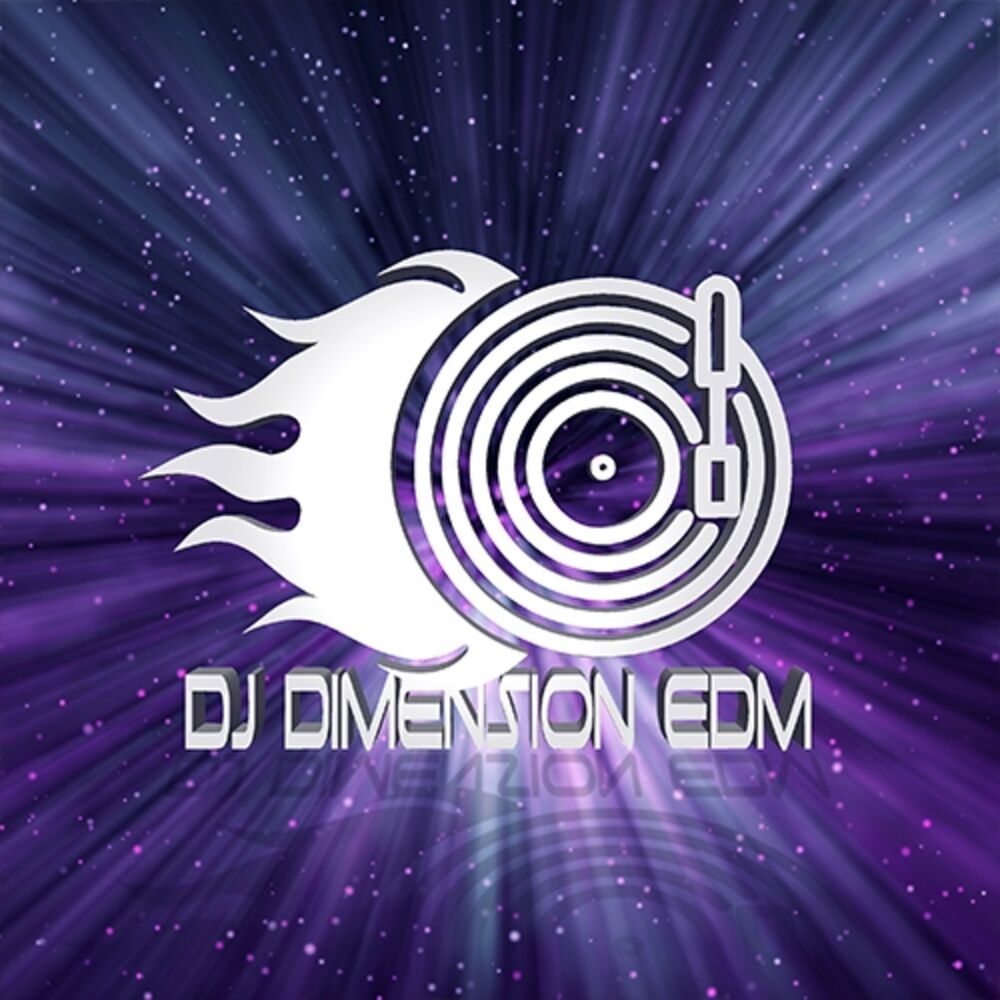 Picture of Dj Dimension EDM