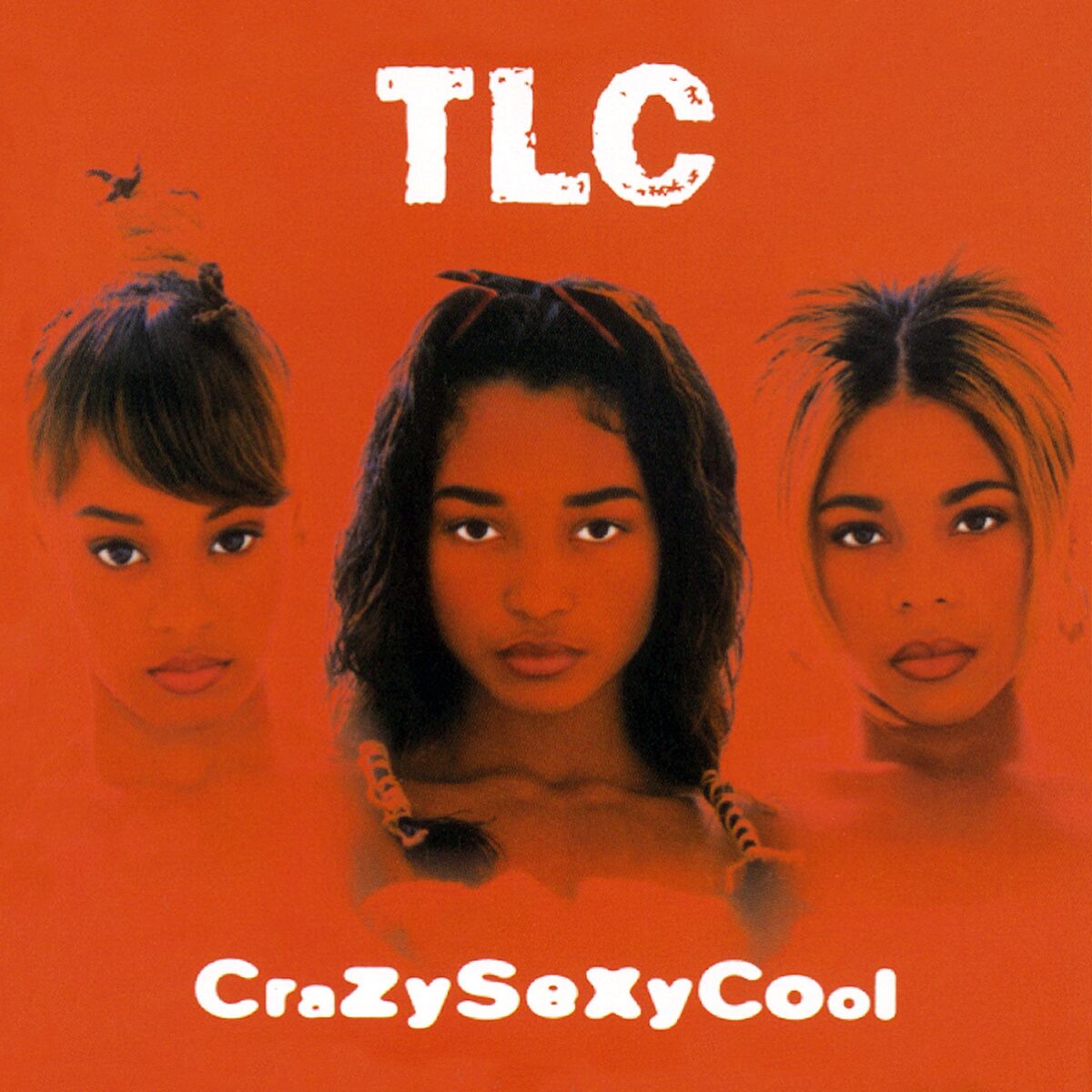 Artist picture of TLC